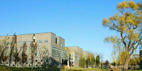北京瑞友科技